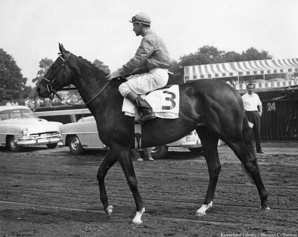 From The Brink Of Death, Needles Became Florida's Racing Hero ...