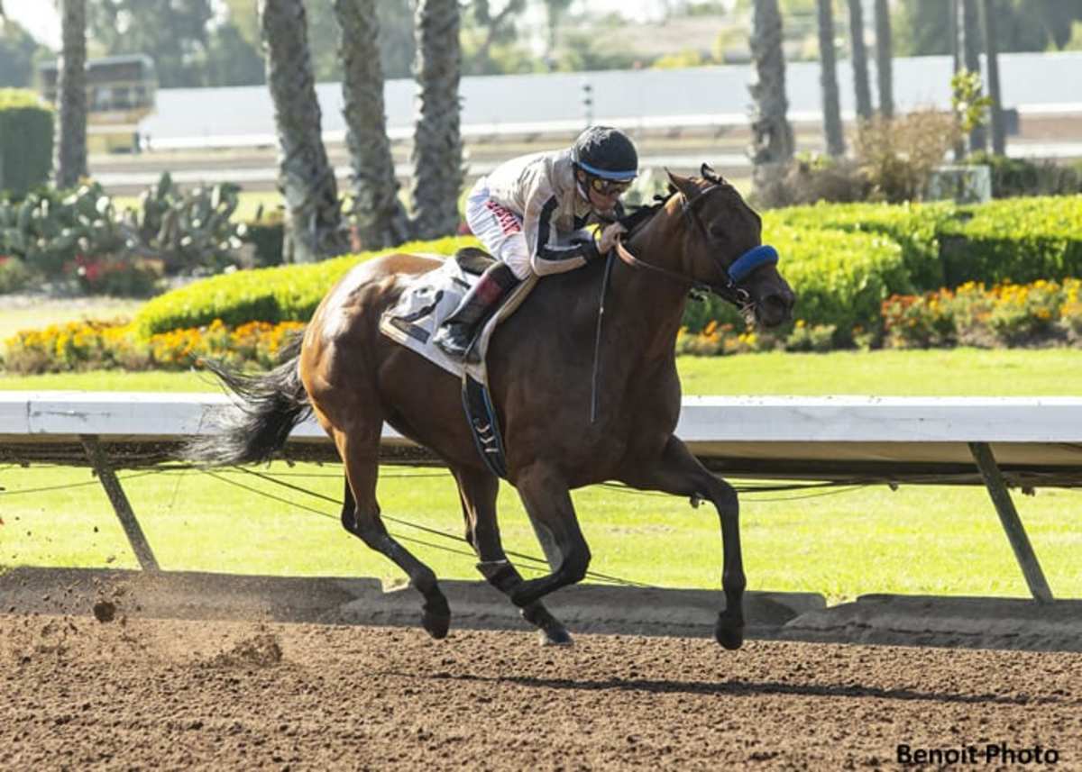 Los Alamitos Thoroughbred Meet: Handle Up, Despite 'Struggle' With