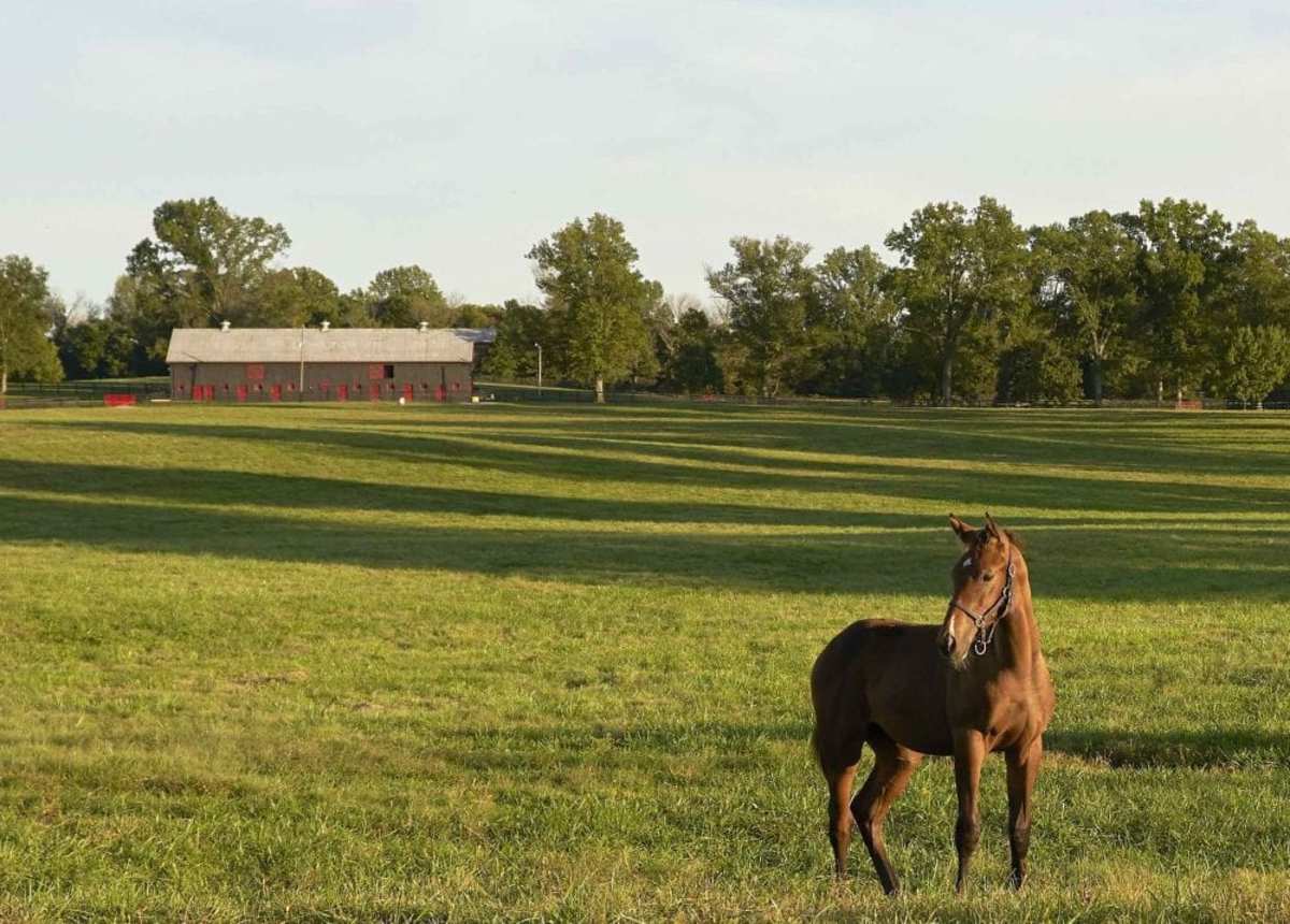 Preserving 'Kentucky's Rural Heritage' Hermitage Farm Joins Permanent