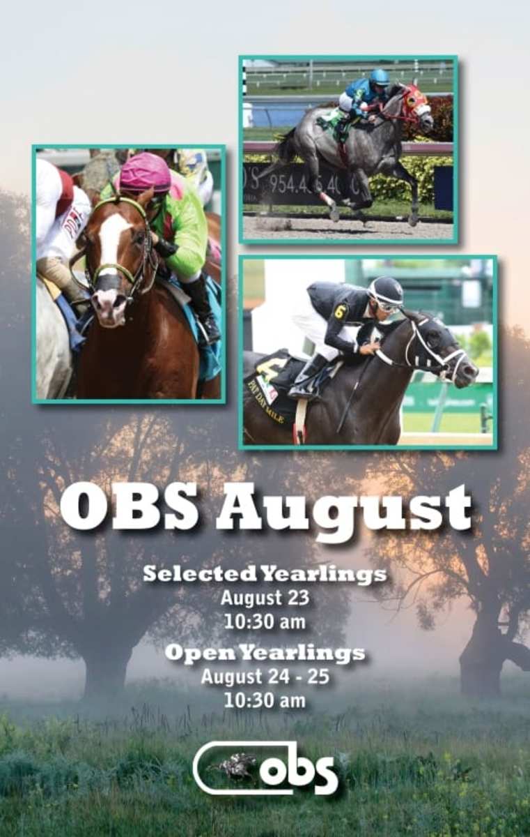 OBS August Yearling Sale Catalog Now Online Paulick Report Latest