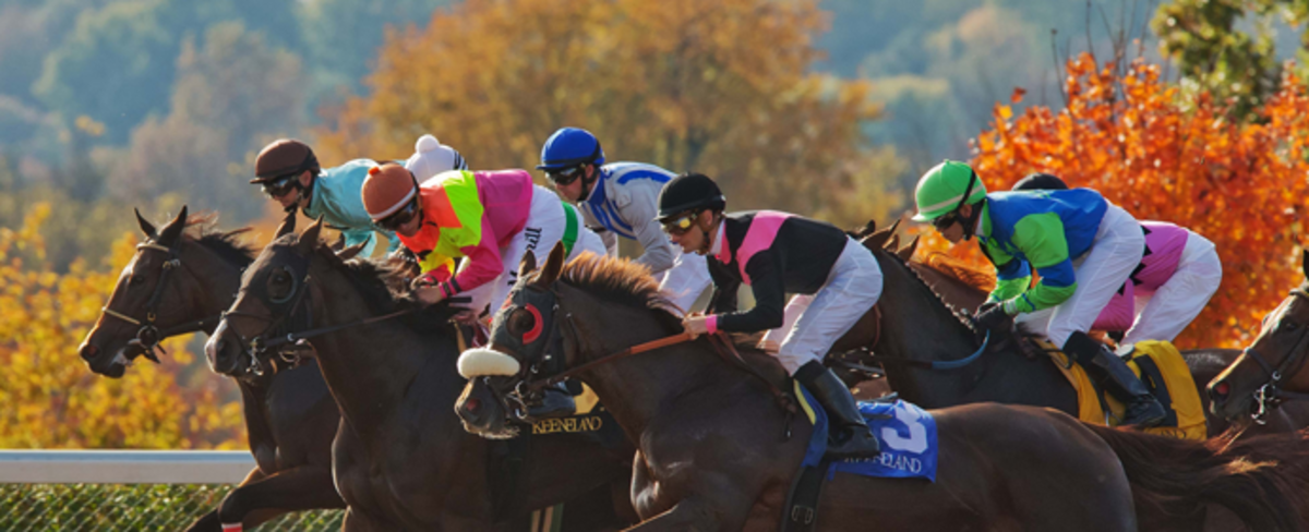 Record Wagering, Second-Highest Attendance At Keeneland's Fall Stars ...