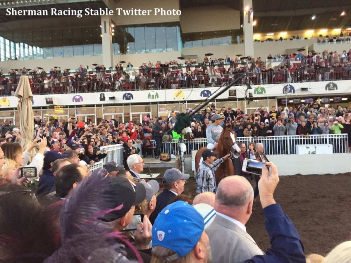 Bettors Set Mutuel Pool Records At Los Alamitos Saturday Paulick Report Shining Light on the