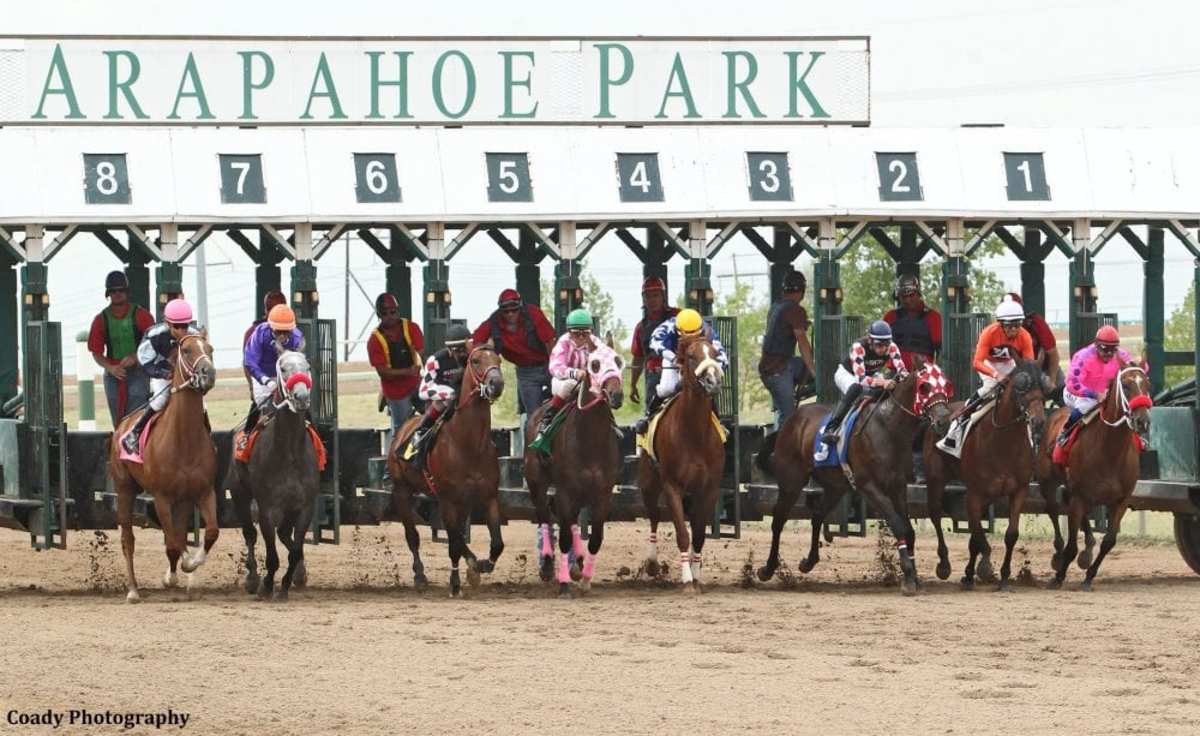 Shannon Ruston Promoted To Executive Director At Arapahoe Park ...