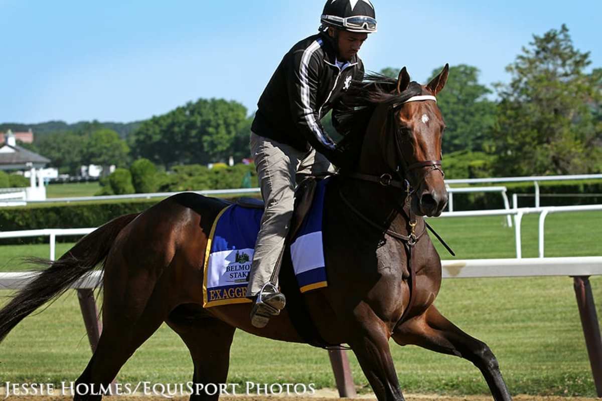 Weekend Lineup Belmont Stakes Festival Paulick Report Shining