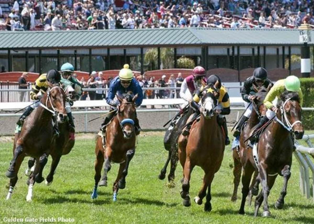 Golden Gate Pick 6 Carryover At 1.25 Million Entering Final Week