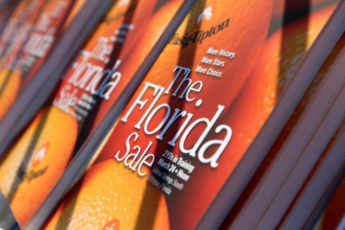 FasigTipton Catalogs 154 Entries For The Florida Sale Paulick Report