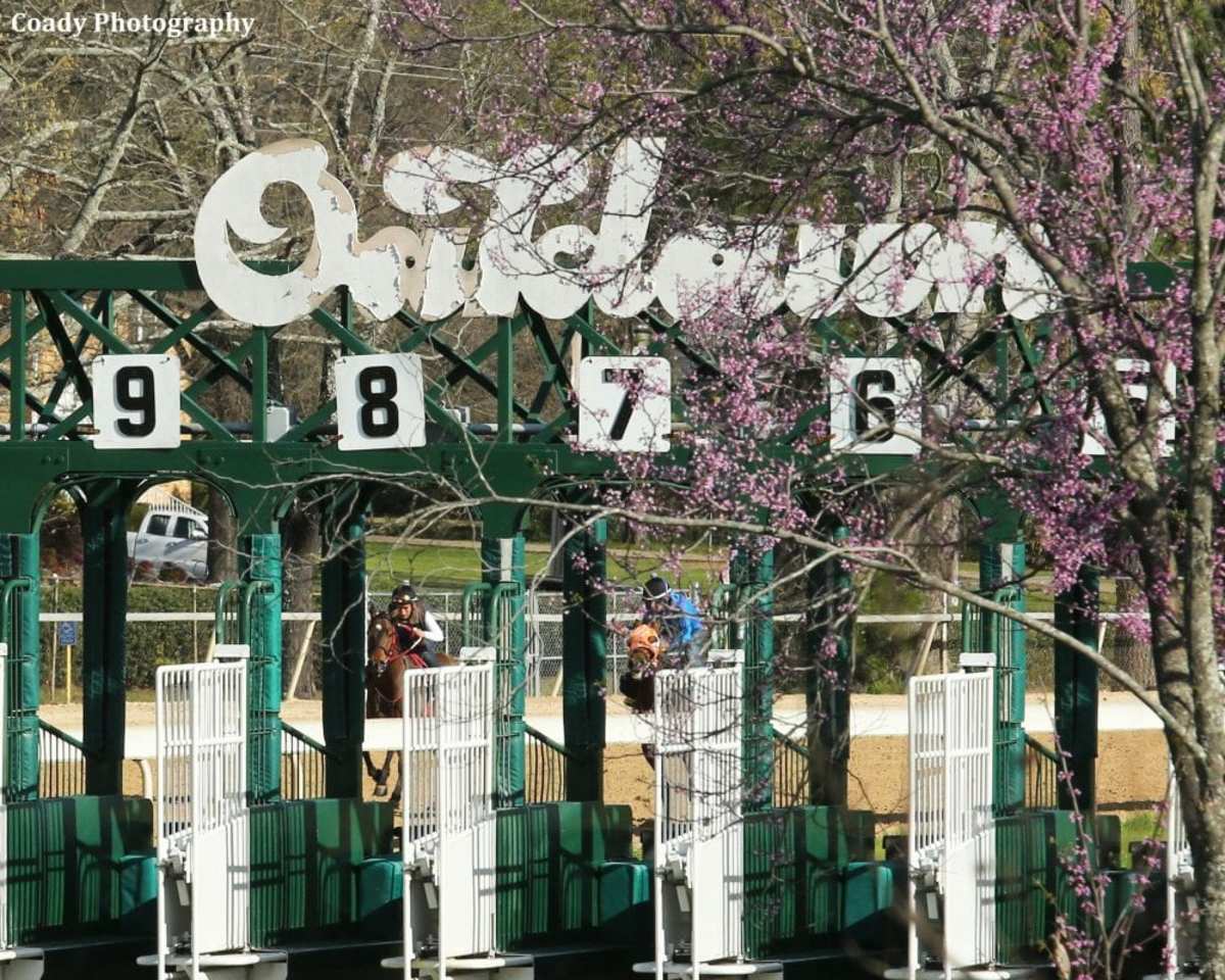 At Least 22 Entries Needed For Oaklawn To Split Arkansas Derby