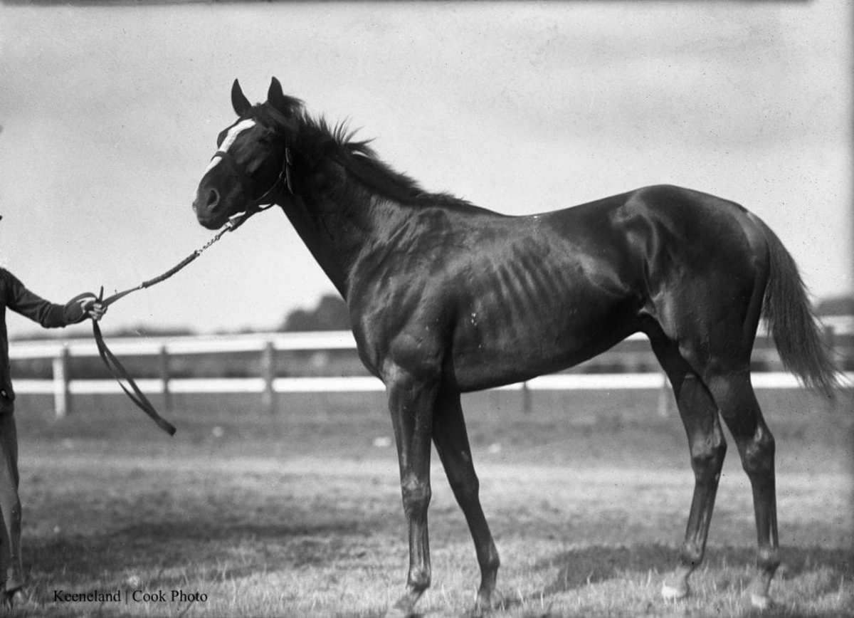Sir Barton: The Forgotten Triple Crown Winner - Paulick Report | Latest  news and commentary from the horse racing and equine world, image size:1200x868