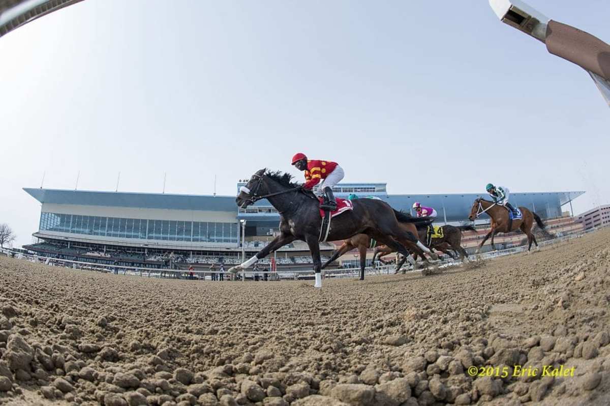 Ehalt Does Future Of New York Racing Include Both Belmont And Aqueduct