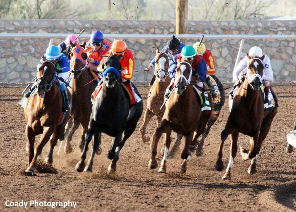 Sunland Park Adds Days, Extends Race Meet Paulick Report Shining Light on the Horse Industry