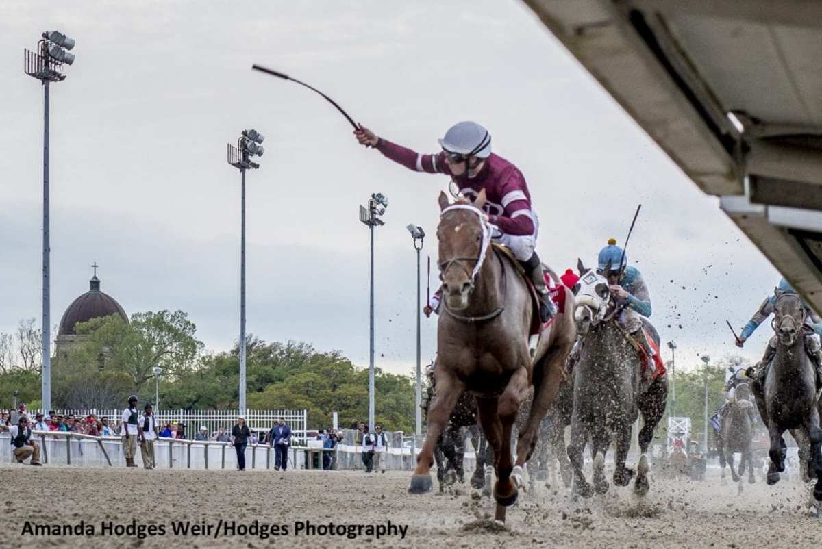 Gun Runner Moves Up To Third In Derby Media Poll Paulick Report