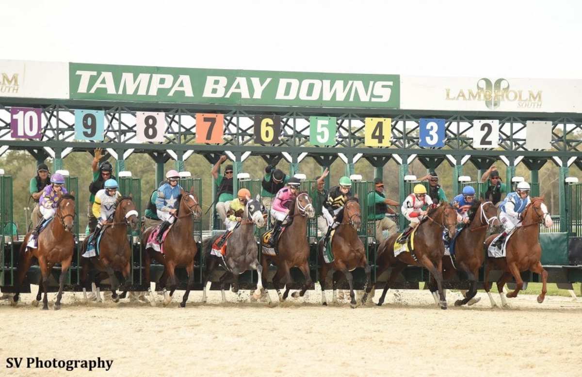 Tampa Bay Downs Announces RecordBreaking 3 Million Stakes Schedule