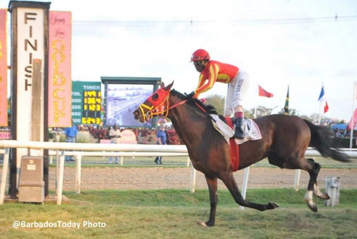 Dorsett Wins Barbados Gold Cup; Ramsey Horses Finish Second, Fourth