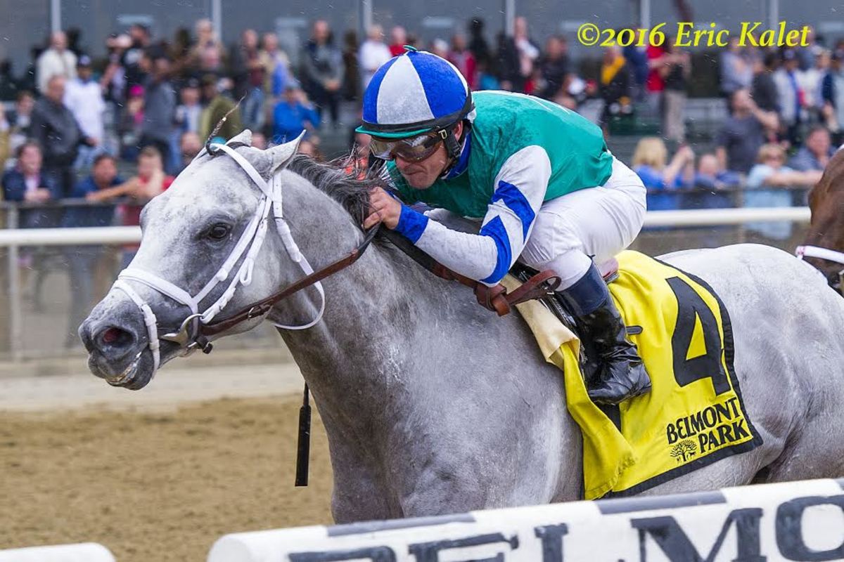 Anchor Down Colt Tops RecordSetting Iowa Fall Sale Paulick Report