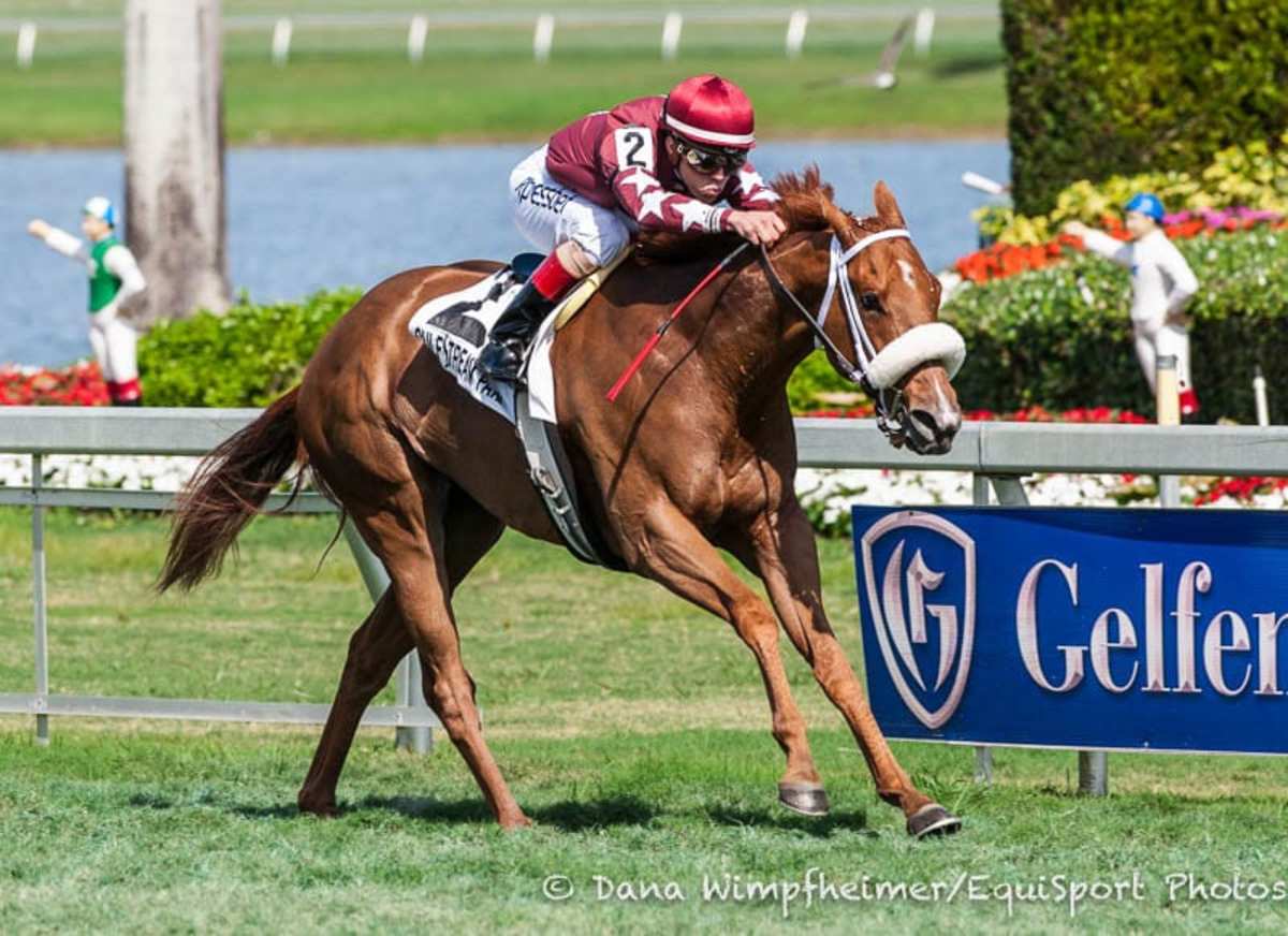 Lady Shipman Has 'Blossomed' Since Dubai, Races Sunday At Belmont