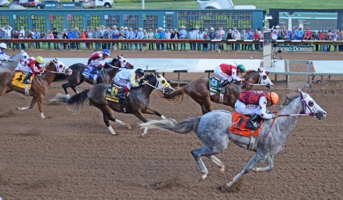 Imperial Eagle Wins All American Futurity At Ruidoso Downs Paulick