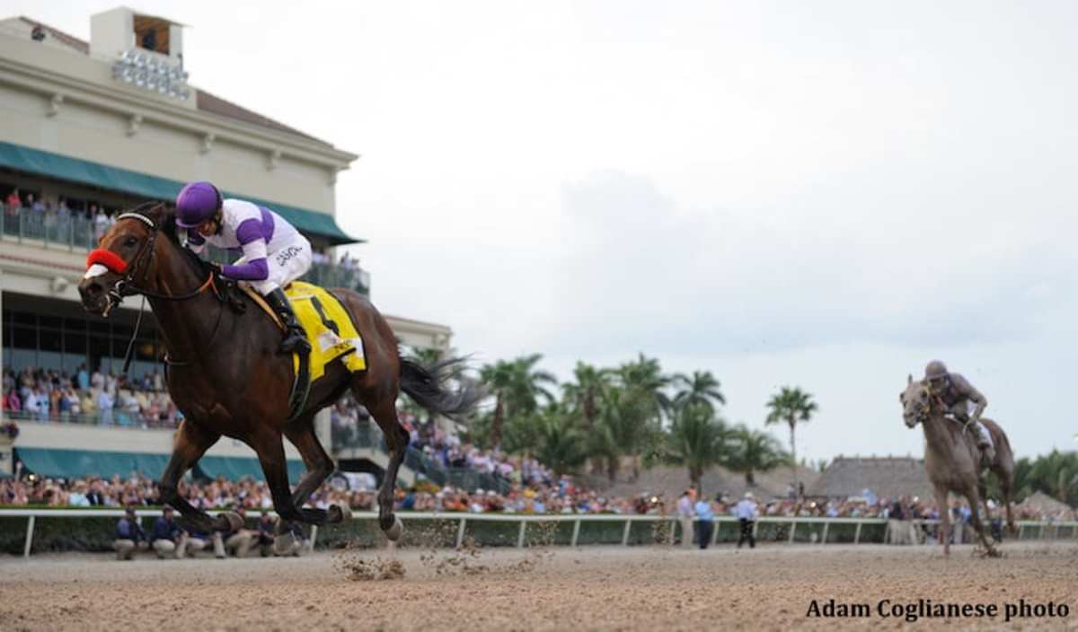 Gulfstream Sets AllTime Handle Record Of 32 Million On Florida Derby