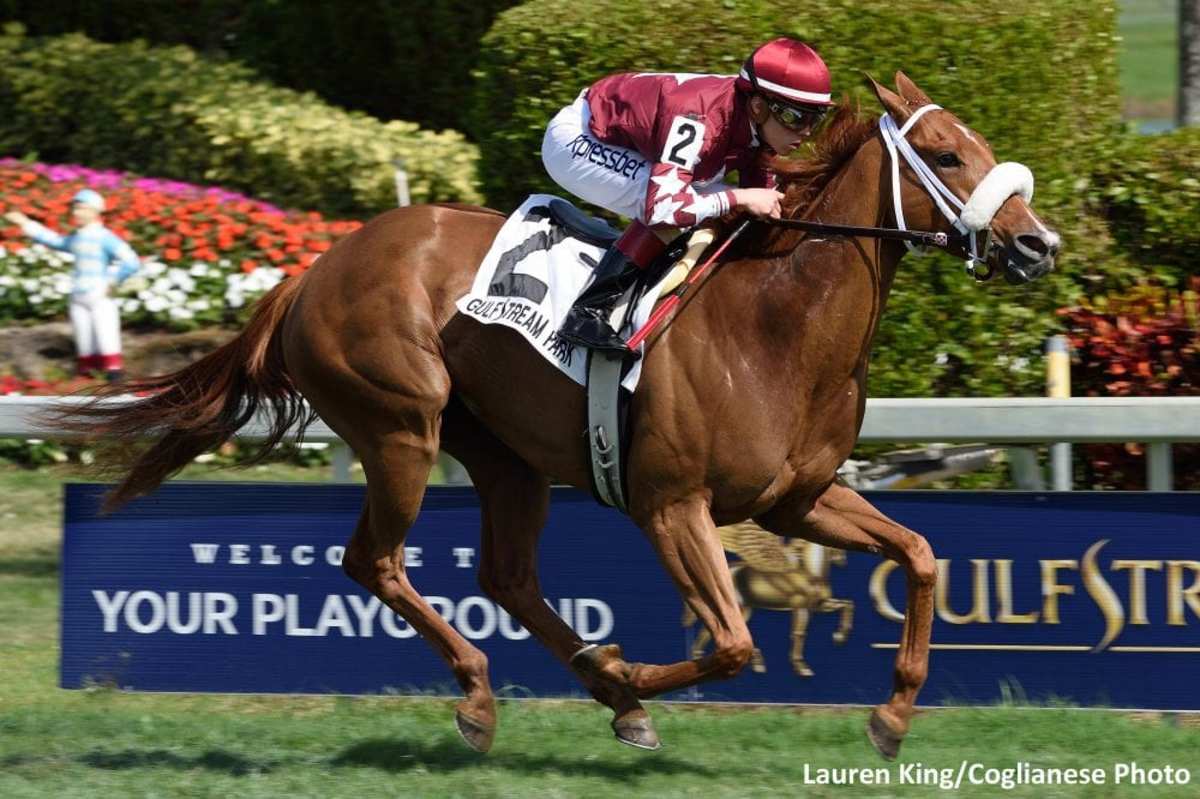 Adjusted TimeformUS Rating For Lady Shipman; Starting Gate Placement