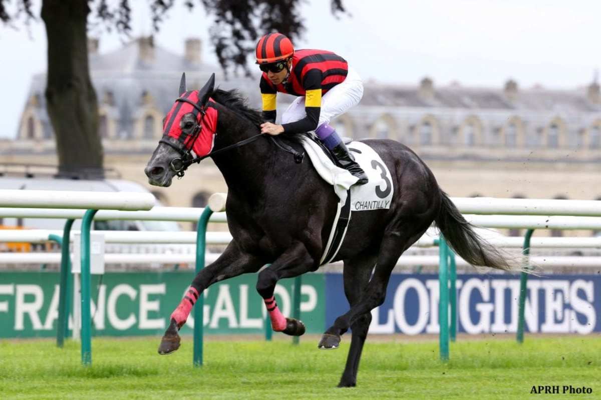 Japan s A Shin Hakari Resides Atop Longines World s Best Racehorse