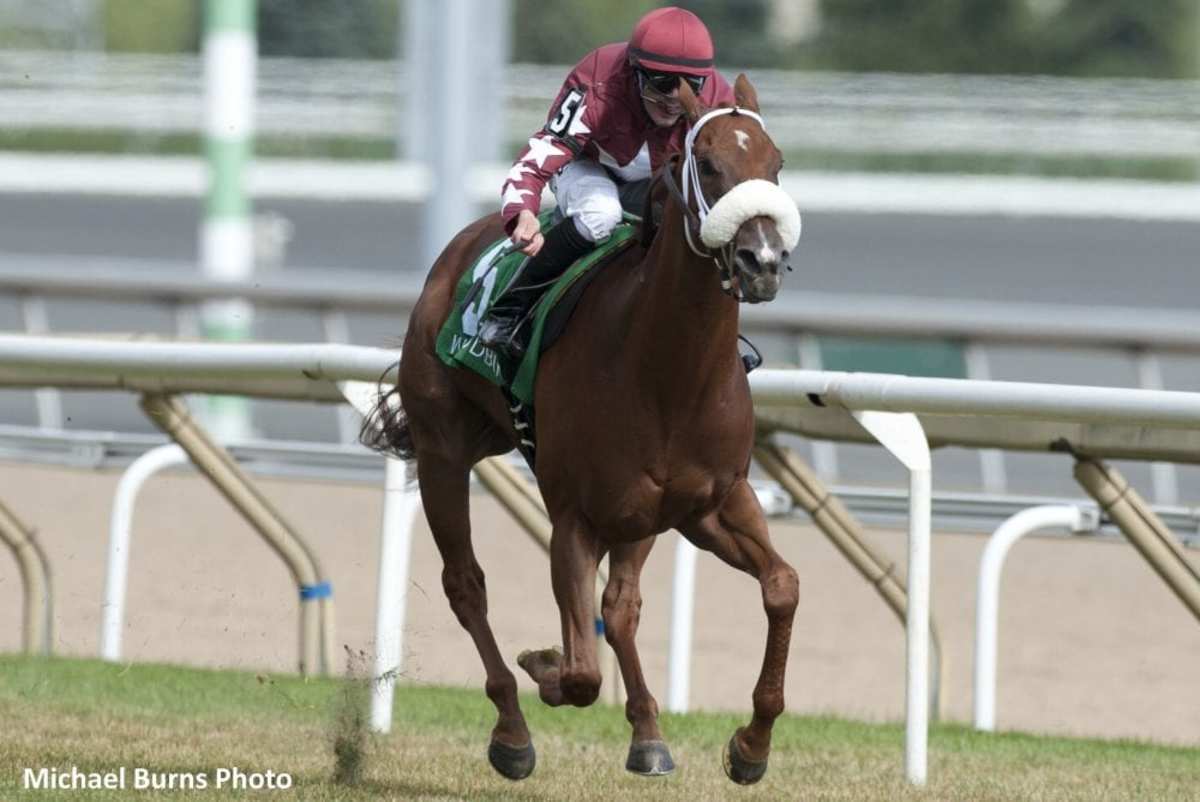 Lady Shipman Leads All The Way In Royal North Paulick Report