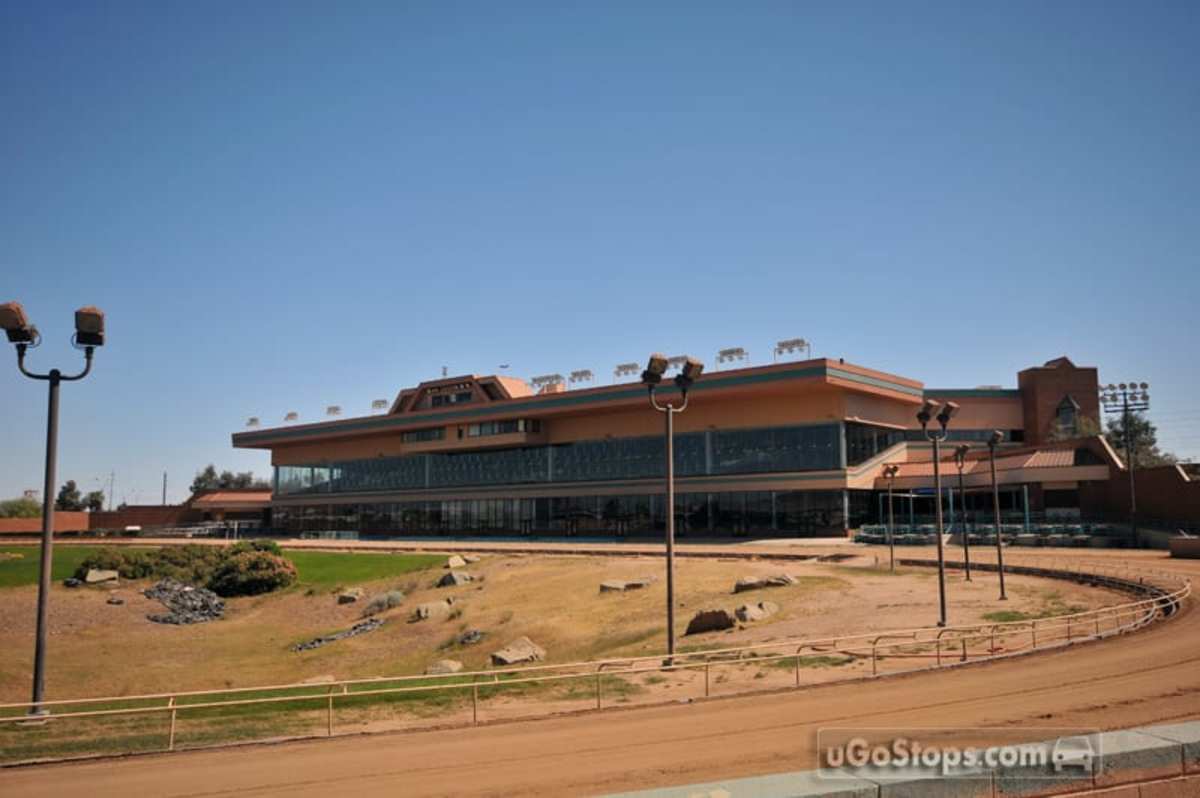 Dinkin On Horseplayers: The Untouchable Shared Racetrack Experience ...