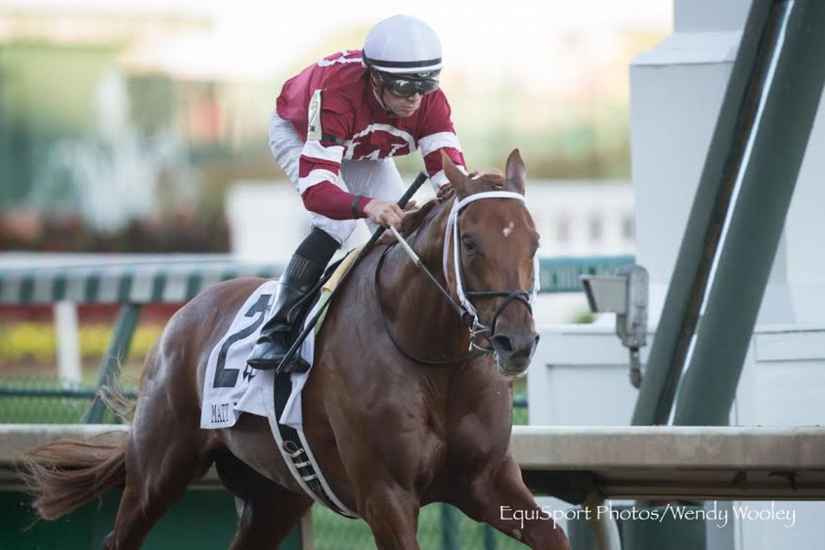 Gun Runner Sets Stakes Record In Strong Matt Winn Performance Paulick