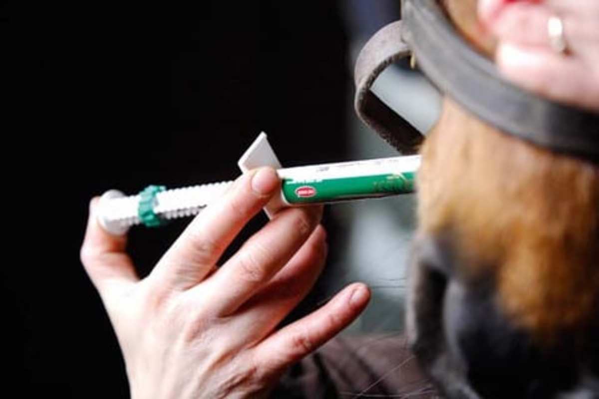 A Closer Look At Best Deworming Practices For Horses Paulick Report