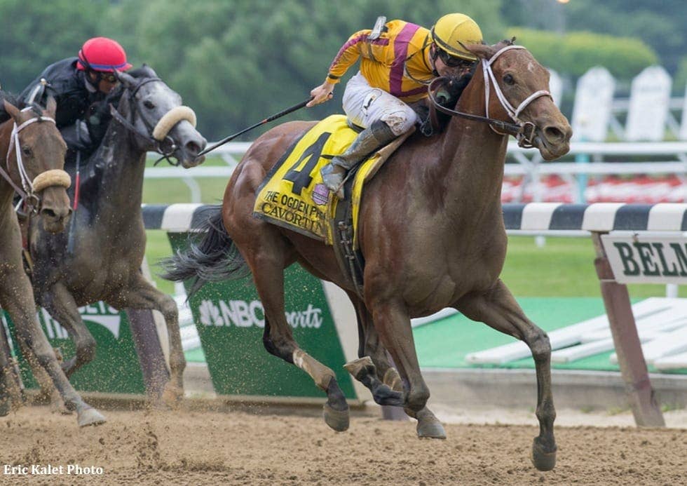 Cavorting, Curalina Clash In G1 Personal Ensign - Paulick Report ...