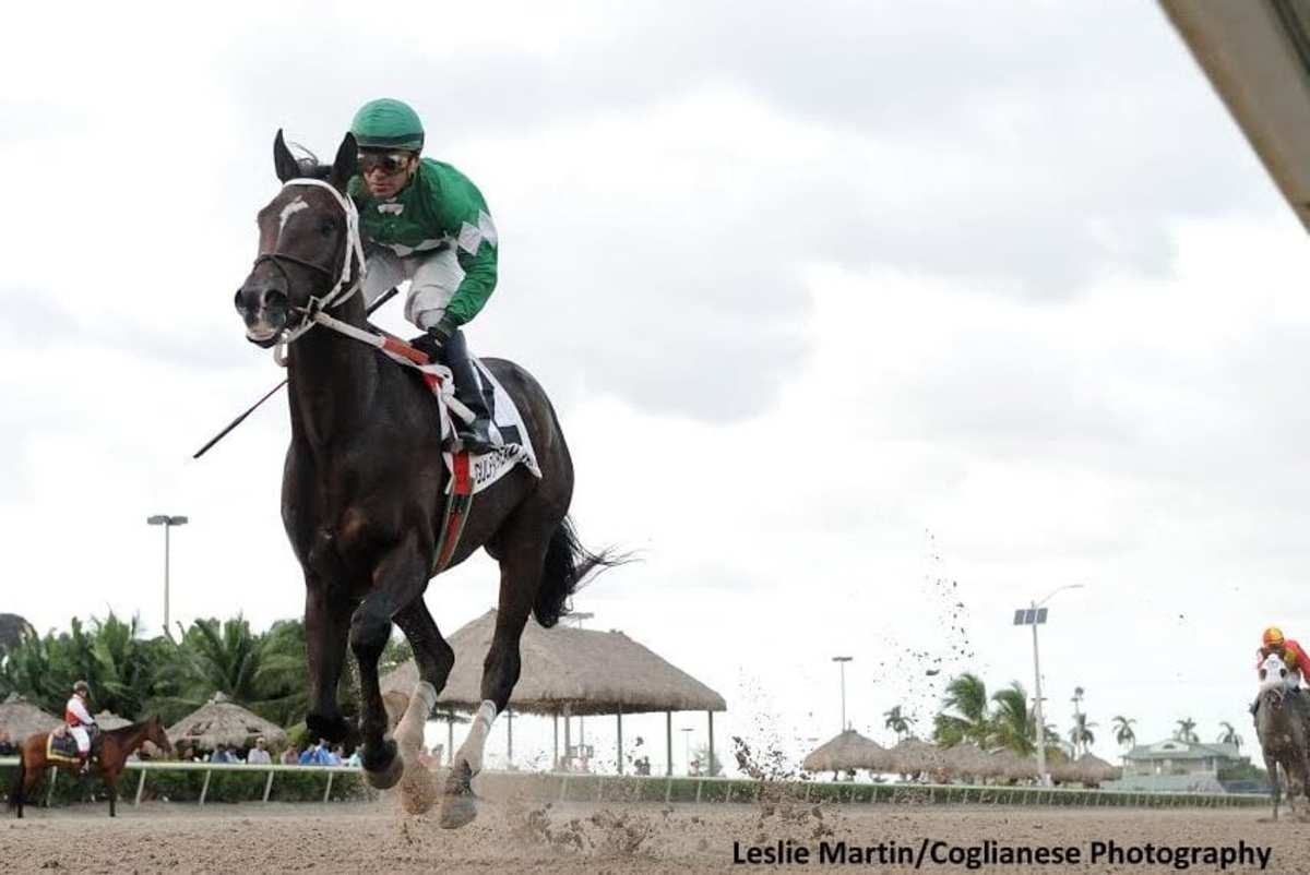 Florida Sire Stakes Series Handle Up 40 Percent Overall Paulick