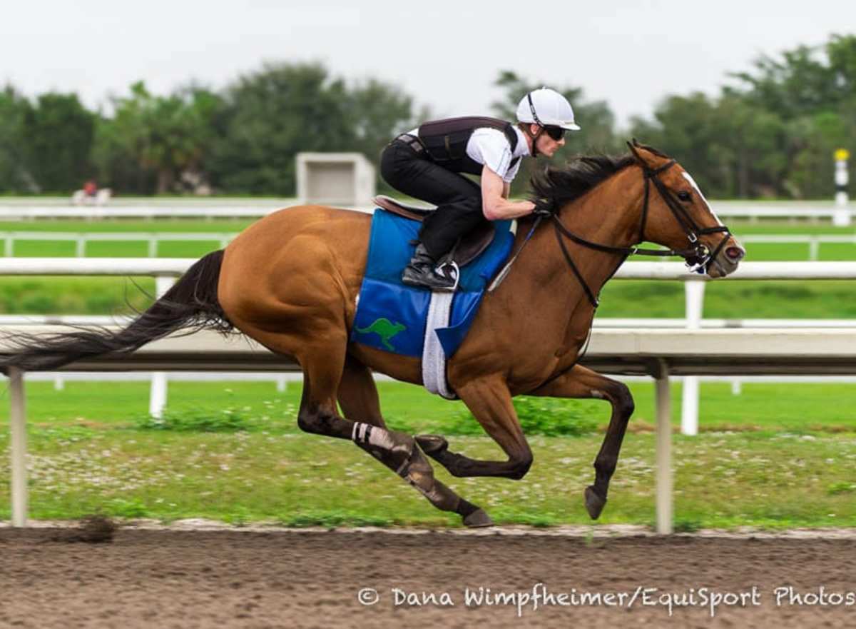 Lightstream 'Training Awesome' In Preparation For La Brea Paulick