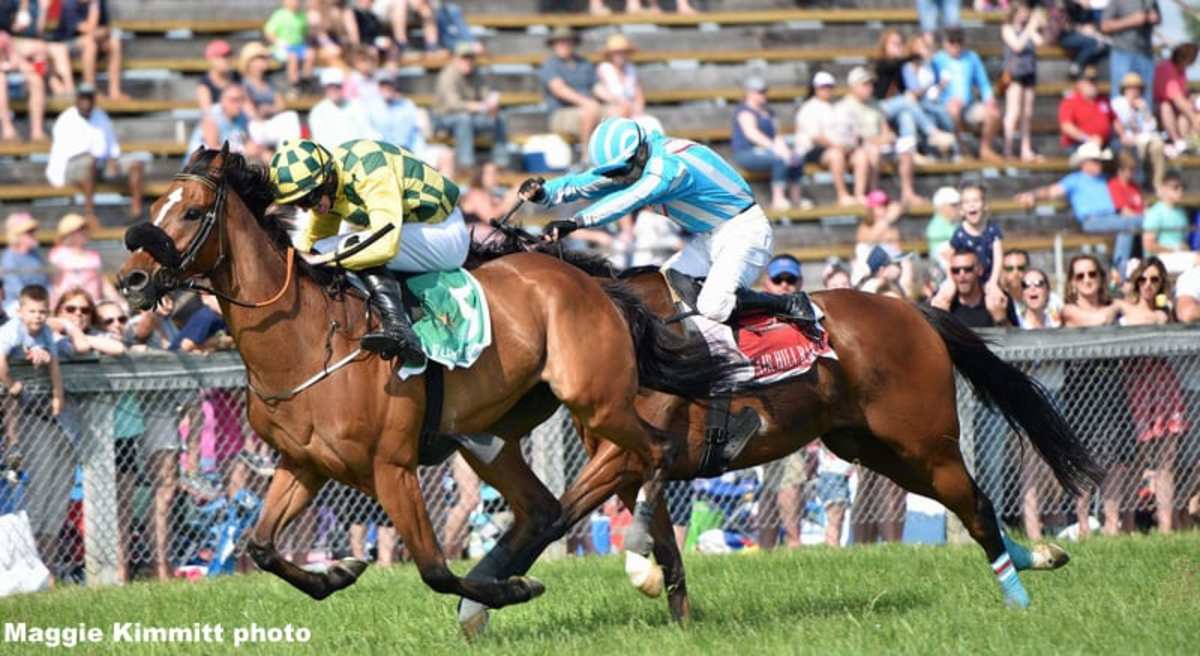 Laurel Park To Host 86th Fair Hill Races While Training Center Makes