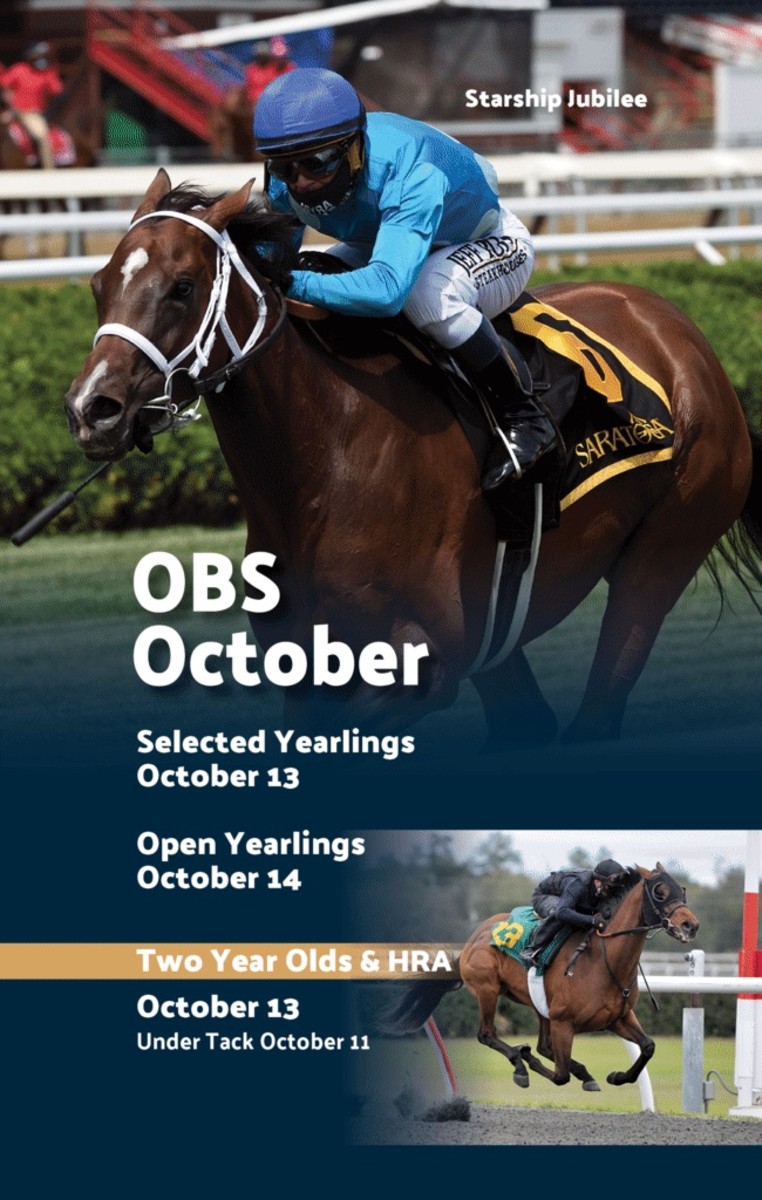 OBS October Sale Catalog Now Online Paulick Report Latest news and