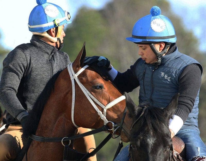 'We're Not Making Progress': U.S. Racing Still Lags Behind Other ...