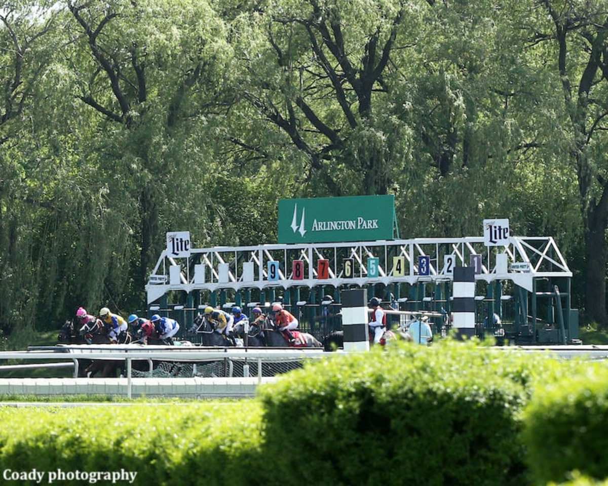 Arlington Up To 300 Spectators To Be Permitted Starting Sept. 3