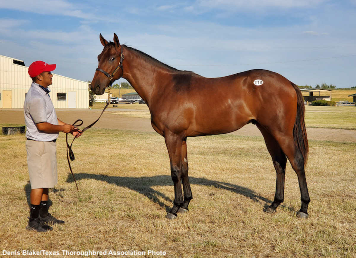 Texas Summer Yearling And Horses Of Racing Age Sale Posts AcrossThe