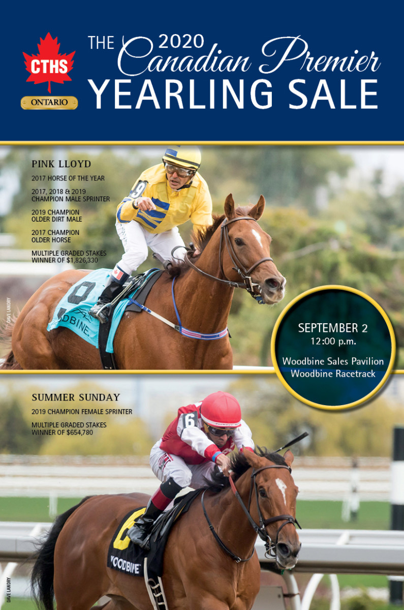 CTHS Canadian Premier Yearling Sale Catalog Now Online Paulick Report