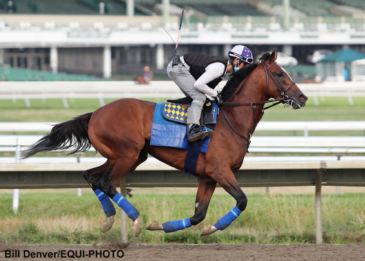 Equibase Analysis Authentic Out For Redemption In Grade 1 Haskell Paulick Report Shining