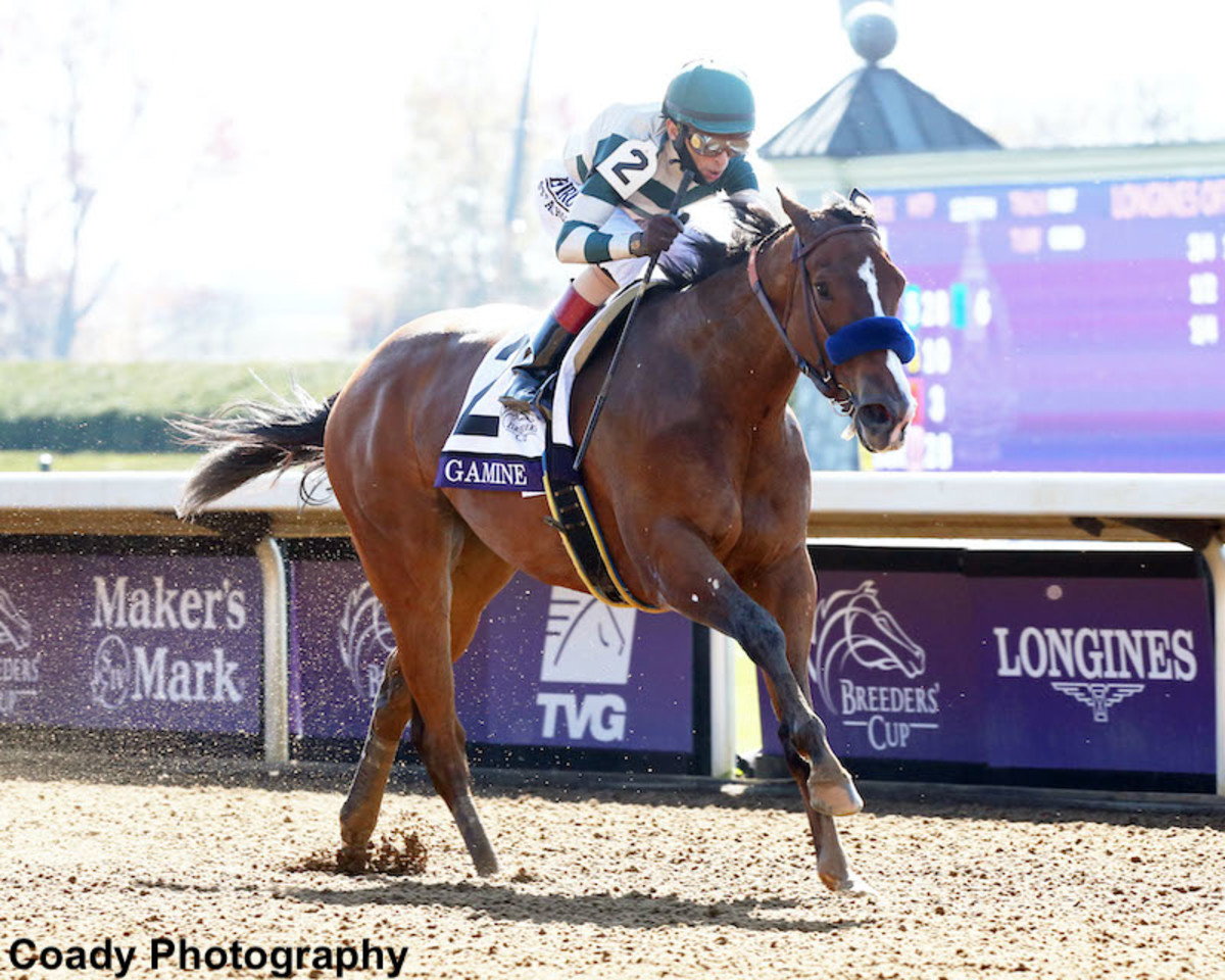 Gamine Sets Track Record In Breeders Cup Filly And Mare Sprint