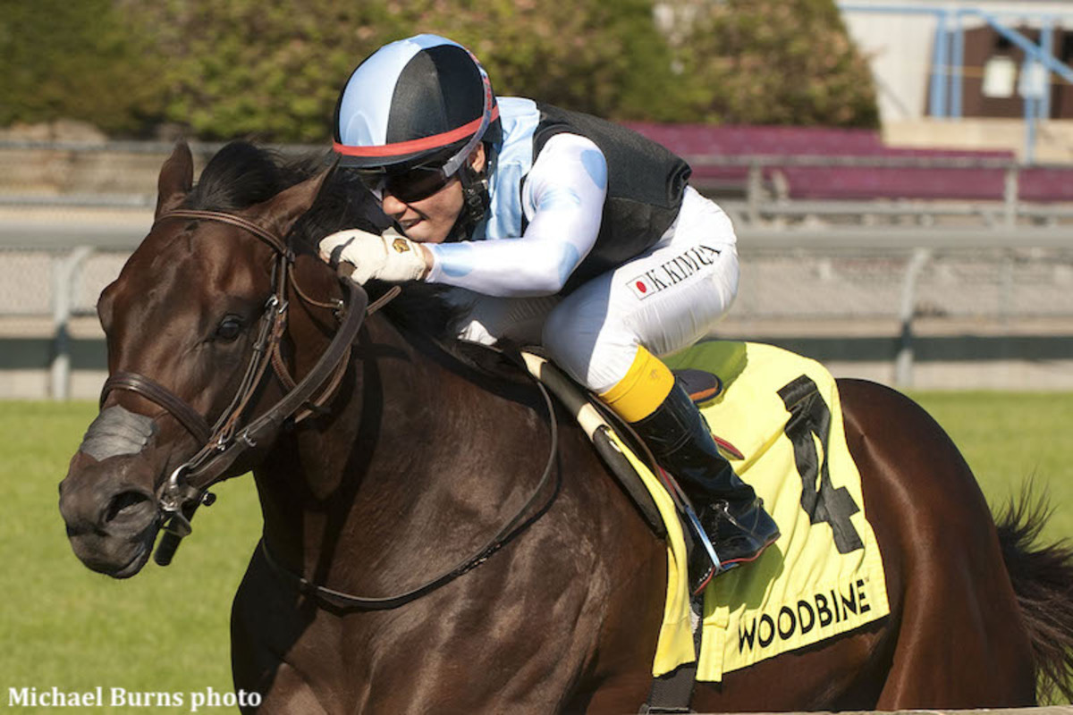 Gretzky the Great winning the 2020 'Win and You're In' Summer Stakes at Woodbine under Kazushi Kimura