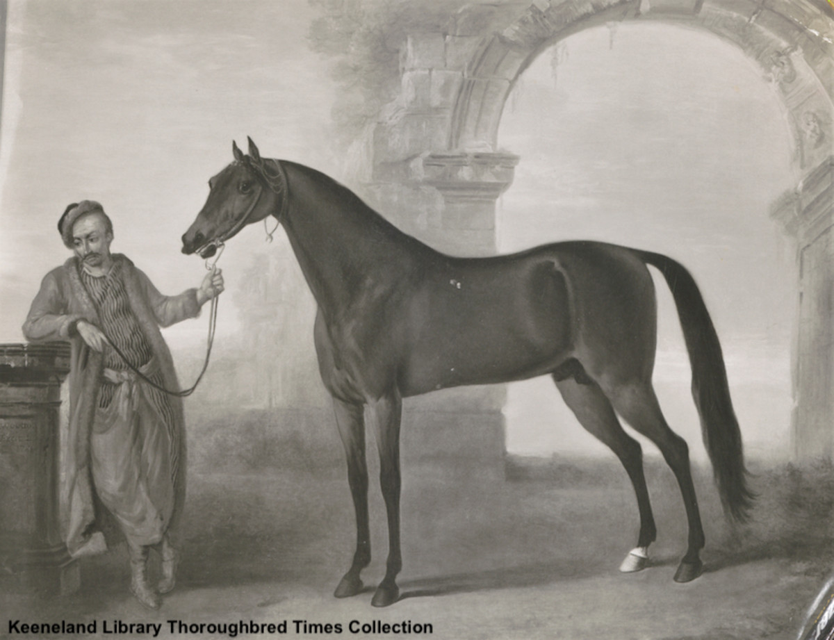 Godolphin Arabian: stallion, Pedigree