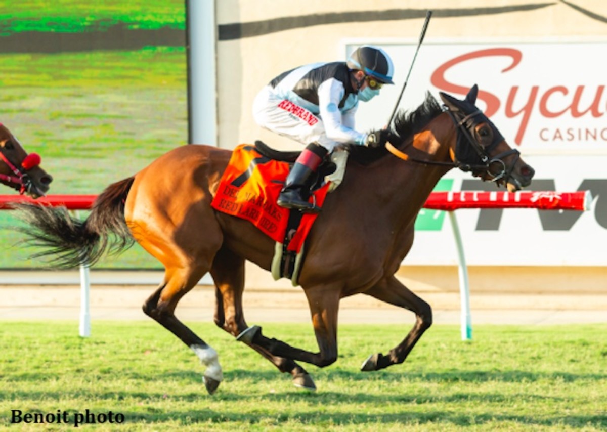 IrishBred Red Lark Gains First Stakes Triumph In Del Mar Oaks Upset