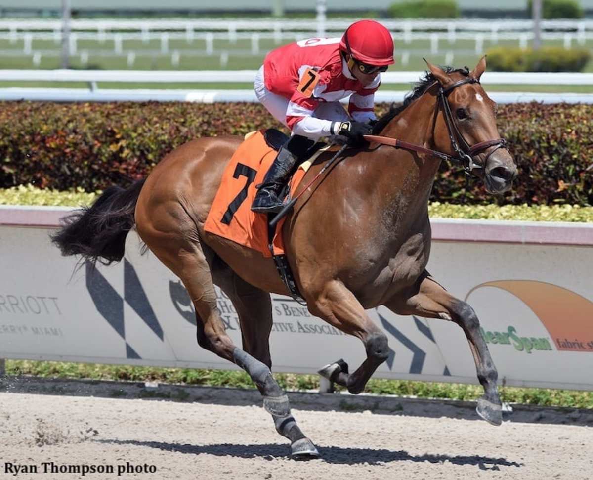 Center Aisle, $1.5-Million Into Mischief Filly, Romps In Gulfstream ...