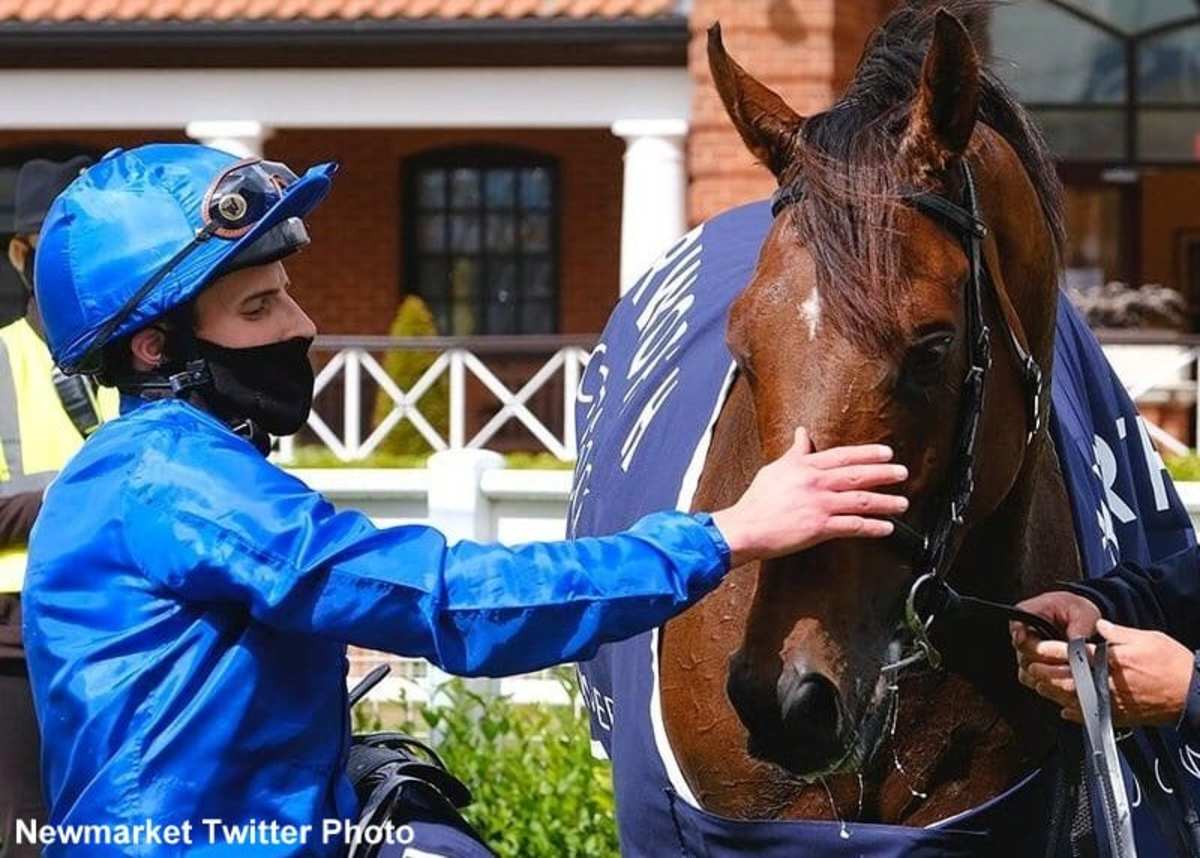 Ghaiyyath Named 2020 Longines World s Best Racehorse Paulick