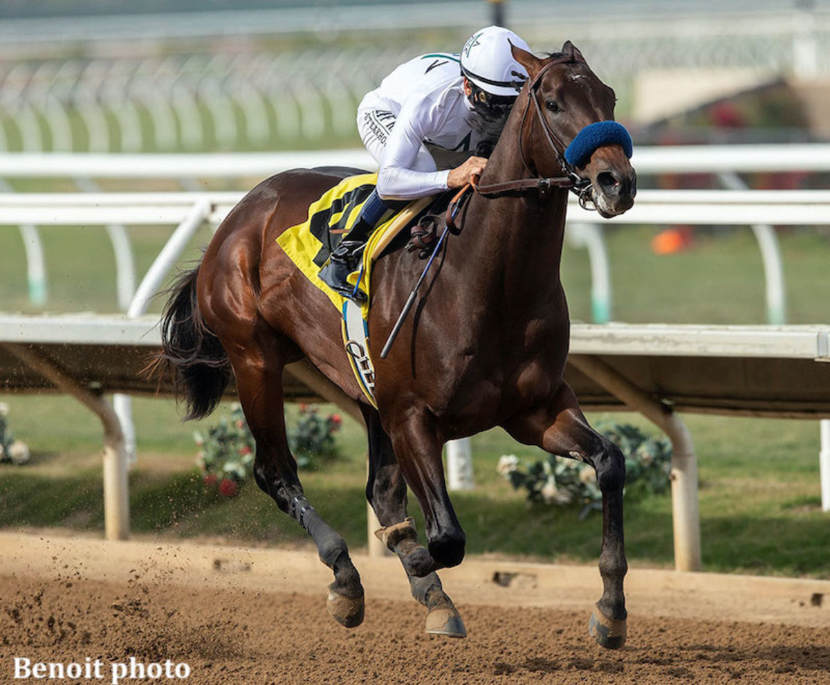 Life Is Good, 5-1, Lowest-Priced Horse In Kentucky Derby Future Wager's ...