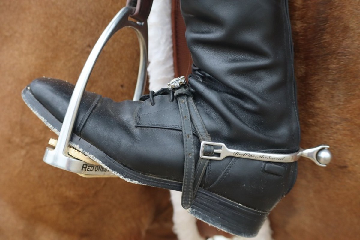 Update: Impact Of Stirrup Style On Horse And Rider - Paulick Report ...