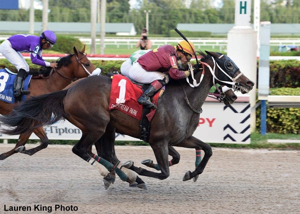 'Blue-Collar' Noble Drama Set To Defend Title In Sunshine Classic