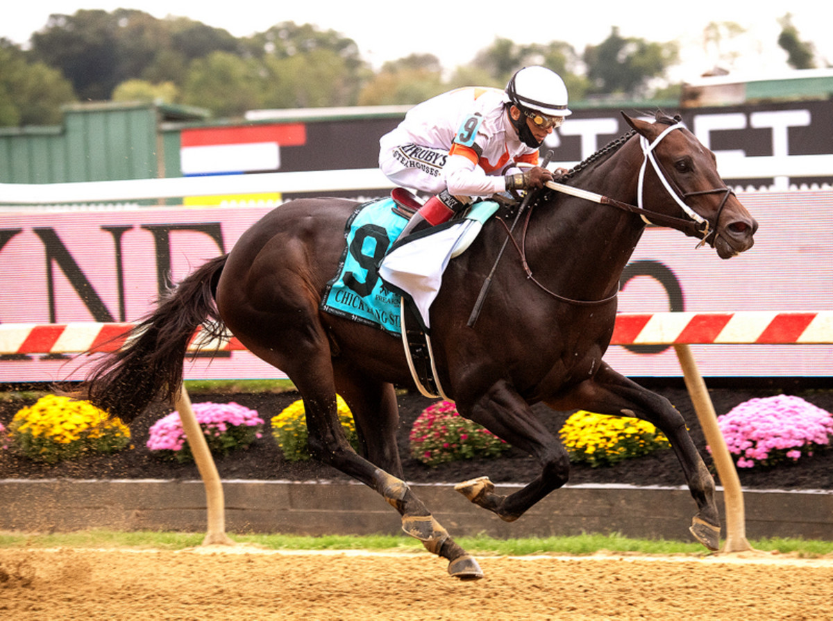 Undefeated Yaupon Equals Stakes Record In Chick Lang Romp Paulick