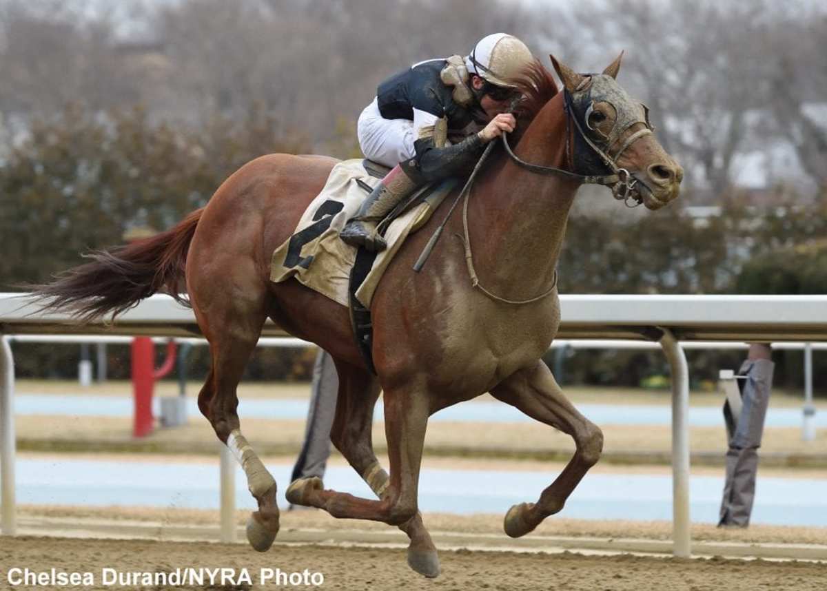 Sir Winston wins an allowance race on Jan. 31 at Aqueduct