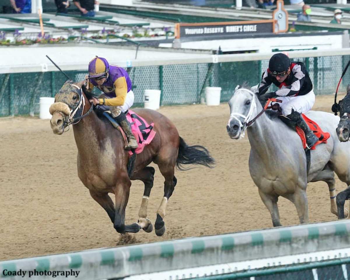 Cox Confident Owendale Will Take 'Next Step Forward' In Stephen Foster