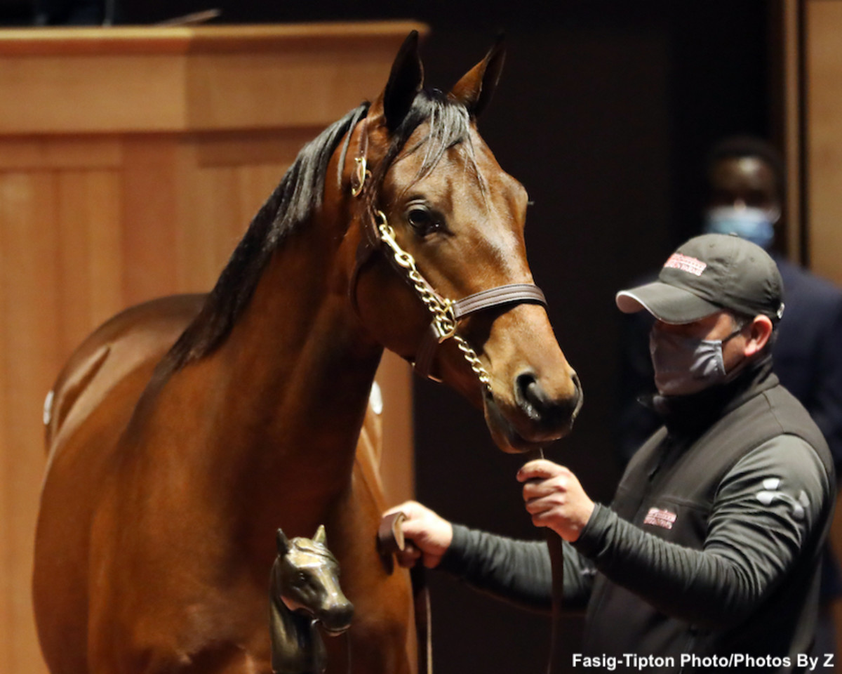 Fasig Tipton October Sale 2024 Results Day Ashely Karolina